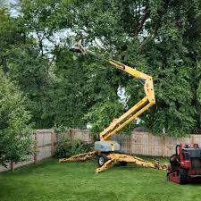 Best Grass Overseeding  in Whitefish, MT