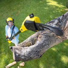 Best Lawn Watering Services  in Whitefish, MT